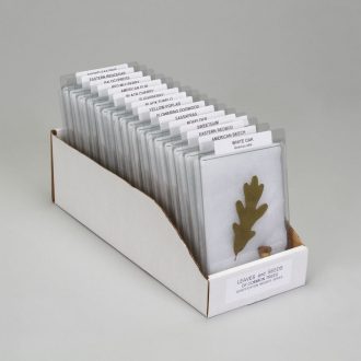 Leaves and Seeds Survey Set, Biorama™ Preparation