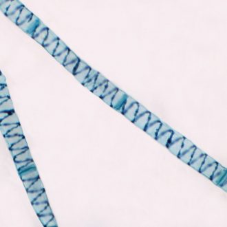 Spirogyra Single Chloroplast, w.m. Microscope Slide