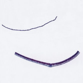 Typical Monocot and Dicot Leaves Slide, c.s., 12 µm