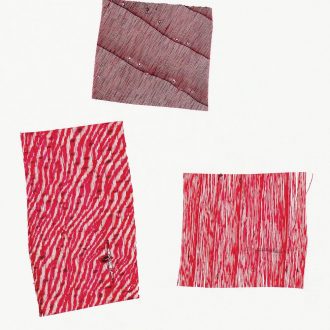 White Pine Wood, sec., 15 µm Microscope Slide