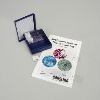 Beginner's Animal Tissue Microscope Slide Set
