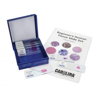 Beginner's Human Tissue Microscope Slide Set