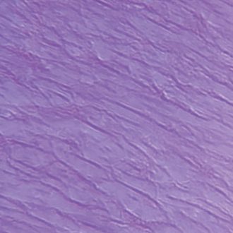 Elastic Tissue, L.S., Microscope Slide