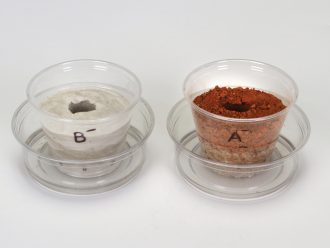 Modeling Earth Processes: Destructive Forces Kit