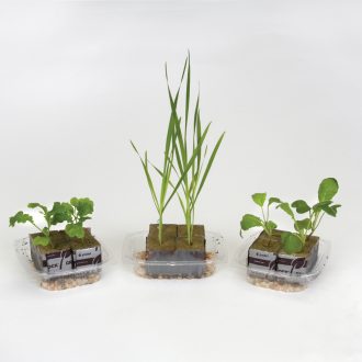 Hydroponics and Sustainability Kit