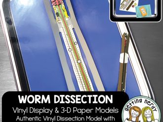 Scienstructable 3D Dissection Model®: Earthworm Vinyl Manipulative and Digital Classroom Set
