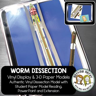 Scienstructable 3D Dissection Model®: Earthworm Vinyl Manipulative and Digital Classroom Set