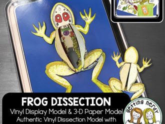 Scienstructable 3D Dissection Model®: Frog Vinyl Manipulative and Digital Classroom Set