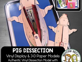 Scienstructable 3D Dissection Model®: Fetal Pig Vinyl Manipulative and Digital Classroom Set