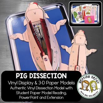 Scienstructable 3D Dissection Model®: Fetal Pig Vinyl Manipulative and Digital Classroom Set