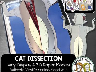 Scienstructable 3D Dissection Model®: Cat Vinyl Manipulative and Digital Classroom Set