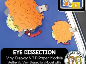Scienstructable 3D Dissection Model®: Eye Vinyl Manipulative and Digital Classroom Set