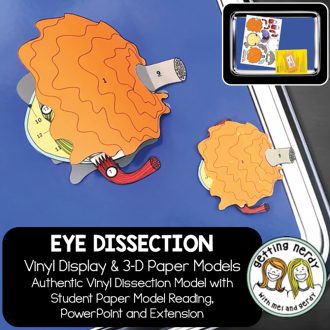 Scienstructable 3D Dissection Model®: Eye Vinyl Manipulative and Digital Classroom Set