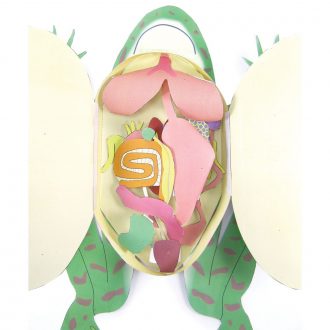 Origami Organelles™ 3-D Model Kit: Frog Dissection