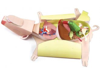 Origami Organelles™ 3-D Model Kit: Fetal Pig Dissection