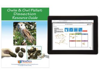 Owls & Owl Pellet Dissection Resource Guide with Online Multimedia Lesson