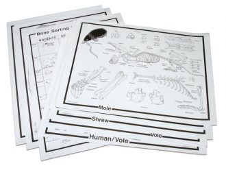 Owl Pellet Chart Set