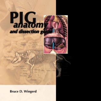 Pig Anatomy and Dissection Guide