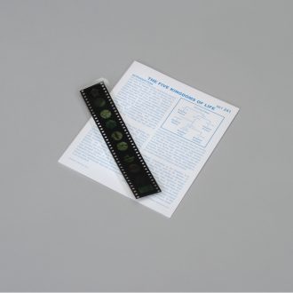 The Five Kingdoms of Life Microslide® Lesson Set