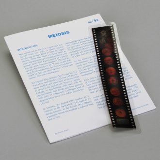 Meiosis Microslide® Lesson Set