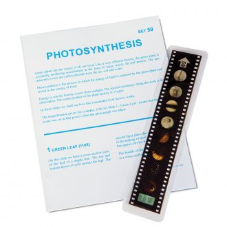 Photosynthesis Microslide® Lesson Set