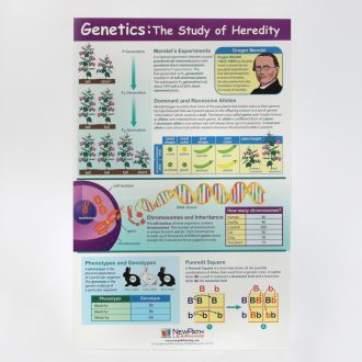 Genetics of Heredity Poster