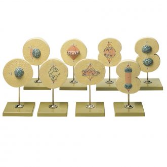 Somso Animal Mitosis Model Set
