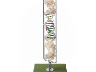 Somso® DNA Double Helix Model