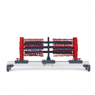 Functional Sarcomere Model