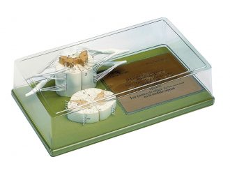 Somso® Human Spinal Cord Models Set