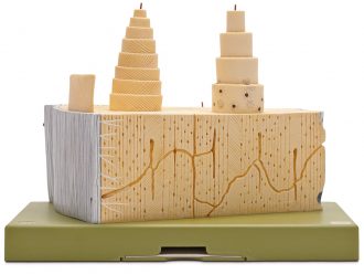 Somso Human Bone Model