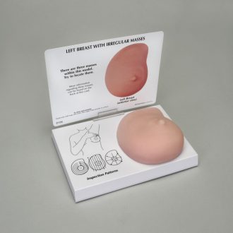 GPI Anatomicals® Human Breast with Irregular Masses Model