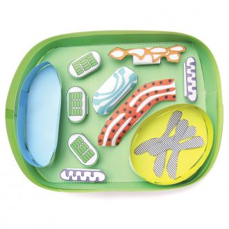 Origami Organelles™ 3-D Paper Model Kit: Plant Cell
