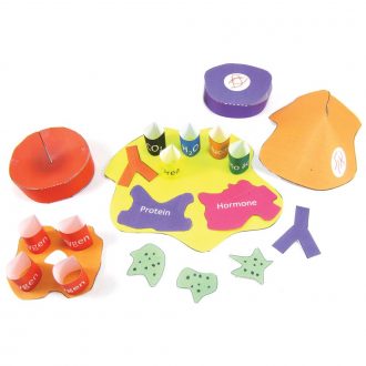 Origami Organelles™ 3-D Paper Model Kit: Blood