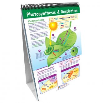 Curriculum Mastery Earth Science Flip Chart Set, Grades 6-8