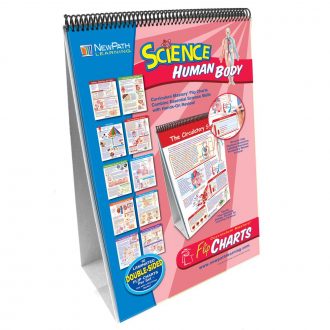 Curriculum Mastery Human Body Flip Chart