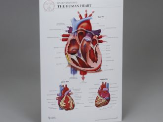 The Heart Post-it® Chart