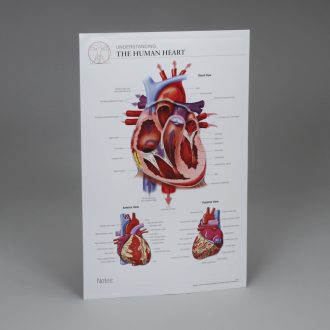 The Heart Post-it® Chart
