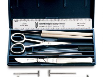 Standard Dissecting Set II