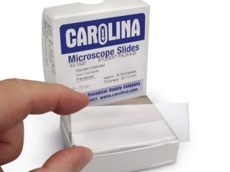 Carolina® Microscope Slide, Glass, Standard, 25 x 75 mm, 1.1-1.8 mm, Box of 36