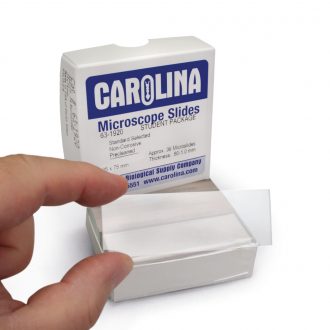 Carolina® Microscope Slide, Glass, Standard, 25 x 75 mm, 1.1-1.8 mm, Box of 36