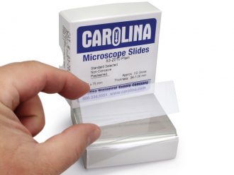 Carolina® Microscope Slide, Glass, Standard, 25 x 75 mm, 0.96-1.06 mm, Box of 72