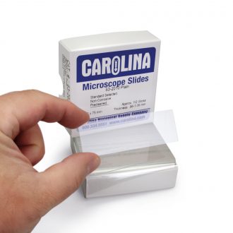 Carolina® Microscope Slide, Glass, Standard, 25 x 75 mm, 0.96-1.06 mm, Box of 72