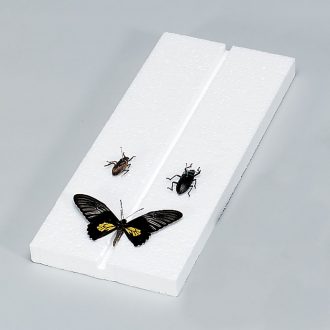 Insect Mounting Board, Styrofoam, Pack of 10