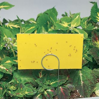 Yellow Sticky Strips, Pest Control, Pack of 25