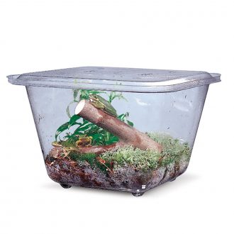 Aquarium/Terrarium, Plastic, 1 gal