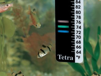 Thermometer, LCD, Sticks on Outside of Aquarium Tank