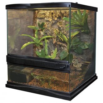 Naturalistic Terrarium (12'' W x 12'' D x 18'' H'')