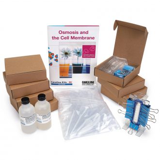 Osmosis and the Cell Membrane 8-Station Kit