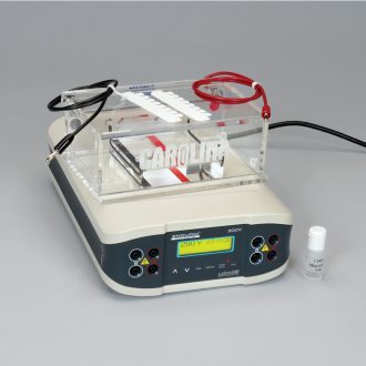 Deluxe Electrophoresis Equipment System, 110-V